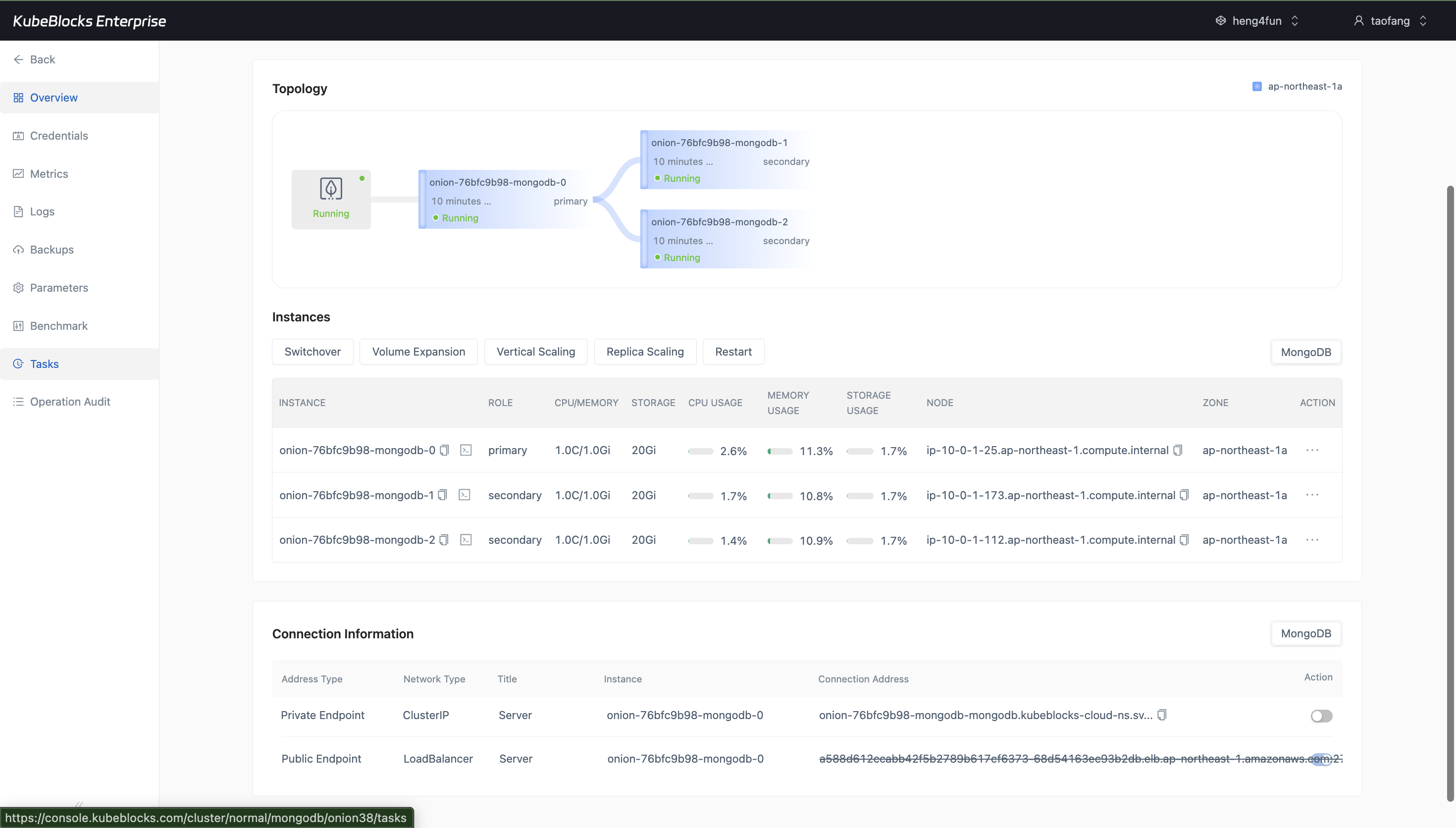 KubeBlocks Enterprise MongoDB connection information showing private and public endpoints with a generated LoadBalancer address